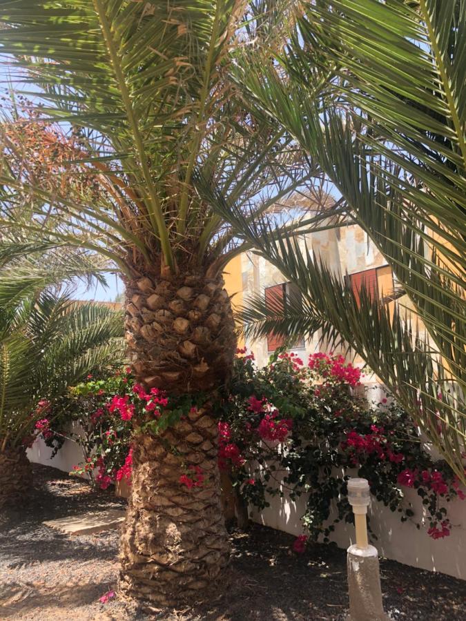 Apartamento Paradise Amaya Costa De Antigua Dış mekan fotoğraf